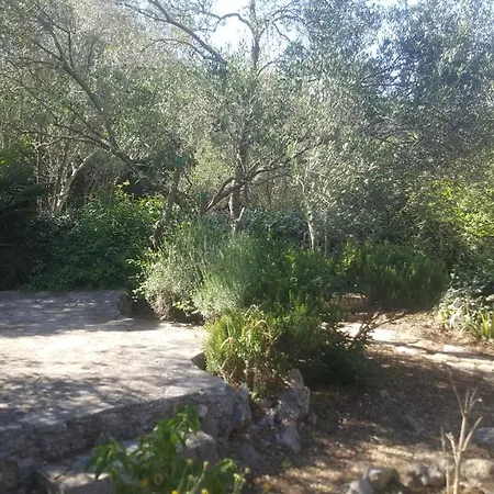Secluded Holiday Ivan *